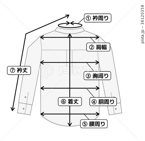 肩幅のイラスト素材