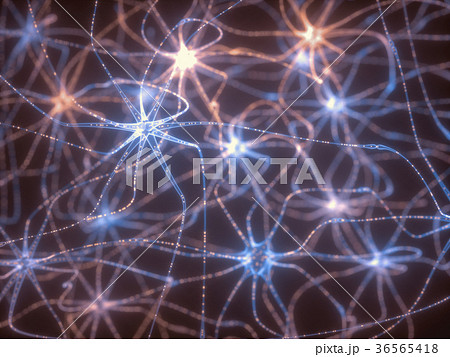 ニューロン 神経細胞 シナプス ネットワークのイラスト素材
