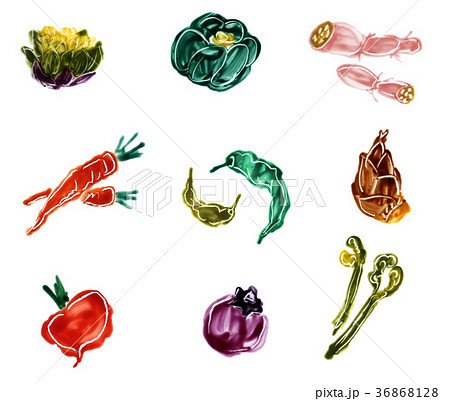 京野菜のイラスト素材 36868128 Pixta