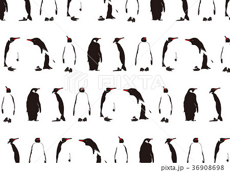 ペンギン 沢山 水族館のイラスト素材 Pixta