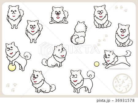 ポメラニアン 犬 戌年 動物のイラスト素材 ポメラニアン 犬 戌年 動物のイラスト素材