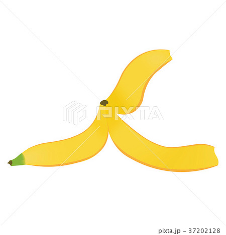 バナナ 皮 果物 挿絵のイラスト素材