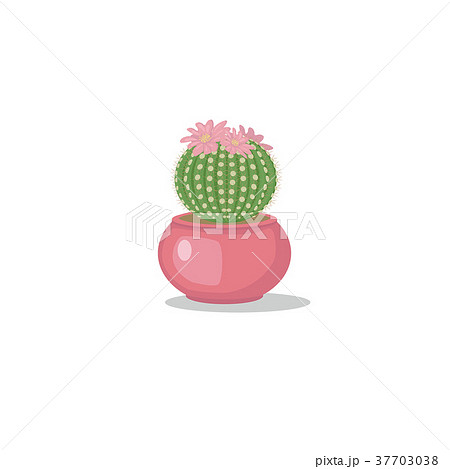サボテン 花 かわいい 小さいのイラスト素材