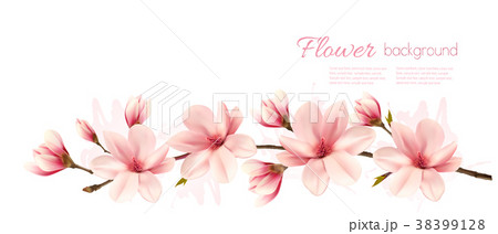 自然 きれい 綺麗 春のイラスト素材