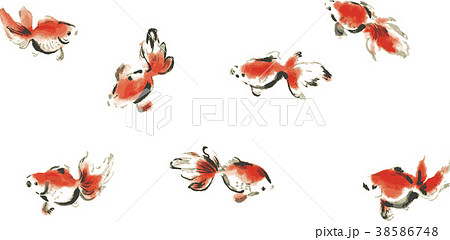 金魚 魚類 イラスト 墨絵の写真素材