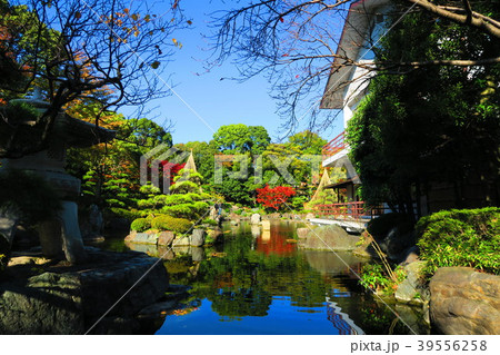 花畑記念庭園 花畑公園 日本庭園 桜花亭の写真素材