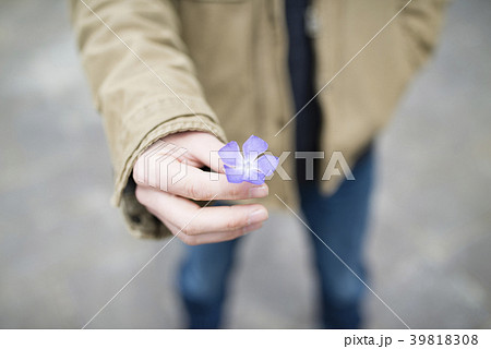 プレゼント 花 渡す 差し出すの写真素材