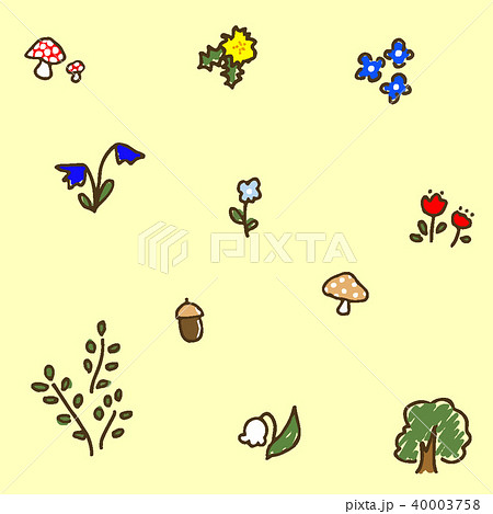 オオイヌノフグリ＊ナズナ＊キュウリグサ＊シジミチョウ♡植物画 オオイヌノフグリ＊ナズナ＊キュウリグサ＊シジミチョウ♡植物画