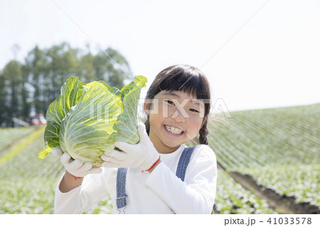 畑 キャベツ畑 赤ちゃん 1人の写真素材