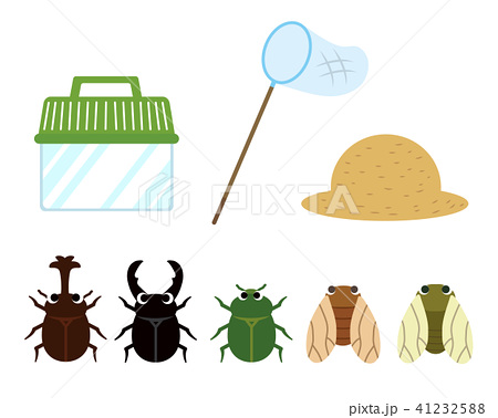 昆虫 昆虫採集 虫捕り 虫籠のイラスト素材