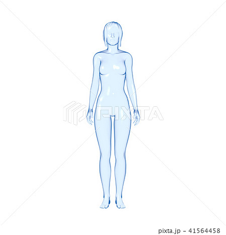 女性 胸 体型 3dのイラスト素材