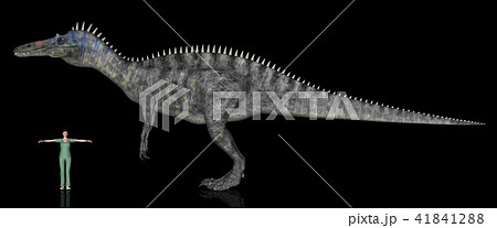 スピノサウルス科のイラスト素材 - PIXTA