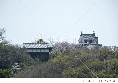 妙見山公園 撫養城の写真素材