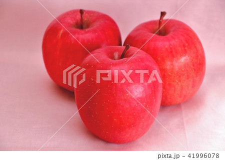 東北 リンゴ 綺麗 果樹園の写真素材