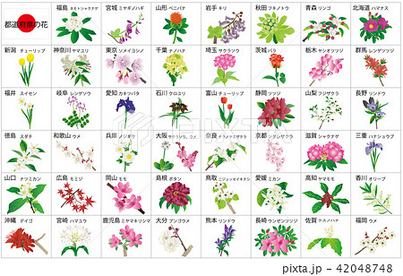 都道府県の花のイラスト素材 - PIXTA