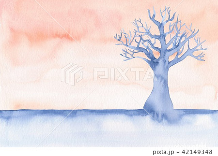 クスノキのイラスト素材 - PIXTA