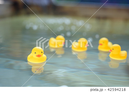 温泉 屋外 日本 ヒヨコの写真素材