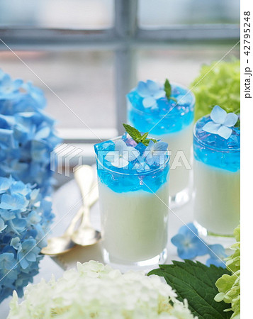 あじさいゼリーの写真素材