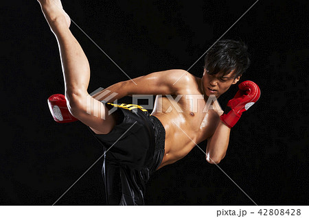 キックボクシングの写真素材