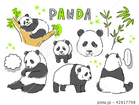 動物 パンダ ジャイアントパンダ クマ科のイラスト素材