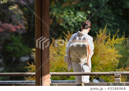 人物 女性 後ろ姿 着物 日本人 1人 美人 若い 美しい 後姿 かわいいの写真素材
