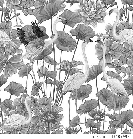 椰子 ハイビスカス イラスト 白黒 アートの写真素材