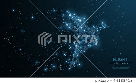 羽がボロボロの写真素材