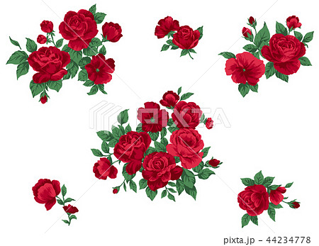 ベクター 薔薇 花 赤のイラスト素材