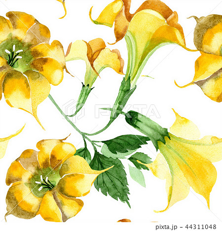 きゅうりの花 黄色のイラスト素材