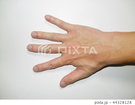 血管 手 太い 手の甲の写真素材