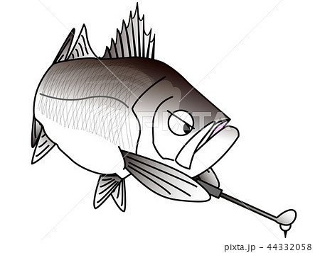 シーバス釣りのイラスト素材 シーバス釣りのイラスト素材
