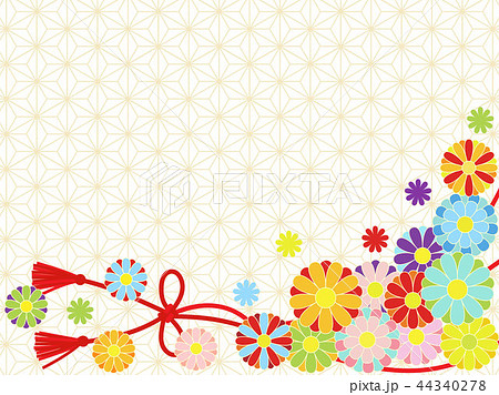 小菊 菊 キク 菊の花のイラスト素材