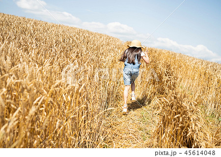 麦わら帽子 女の子 後ろ姿 人物の写真素材