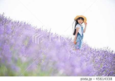 女の子 麦わら帽子 花畑 お花畑の写真素材 Pixta