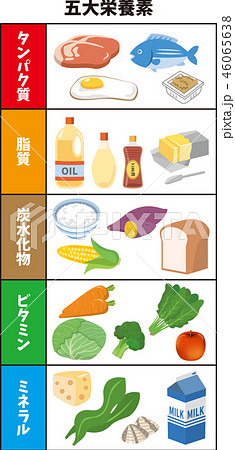 五大栄養素のイラスト素材