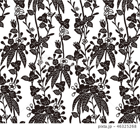 ブーゲンビリアのイラスト素材