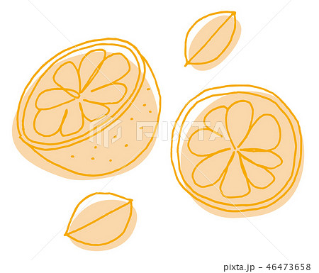 オレンジ 断面 カット 果物のイラスト素材