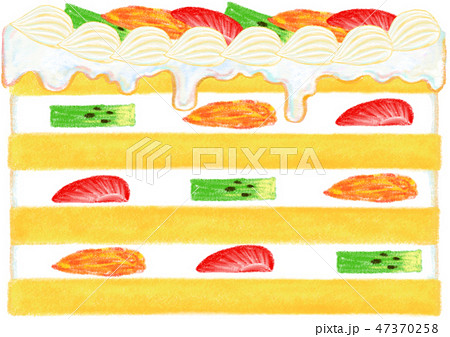 オレンジケーキの断面のイラスト素材