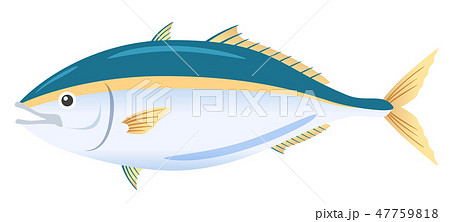 青魚のイラスト素材 Pixta