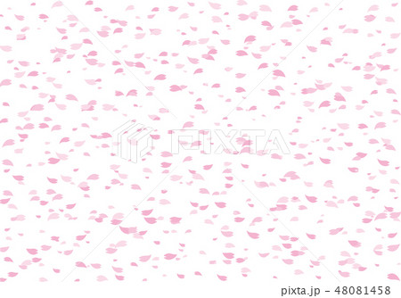 桜 散りばめる 和柄 花柄のイラスト素材