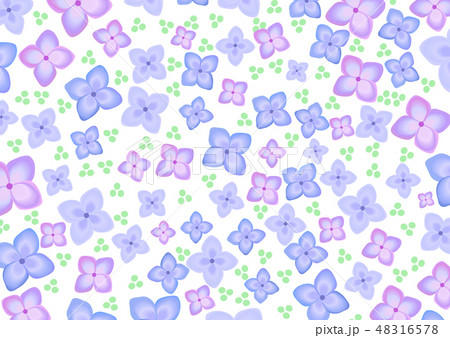 梅雨 花 紫陽花 6月 パターンのイラスト素材