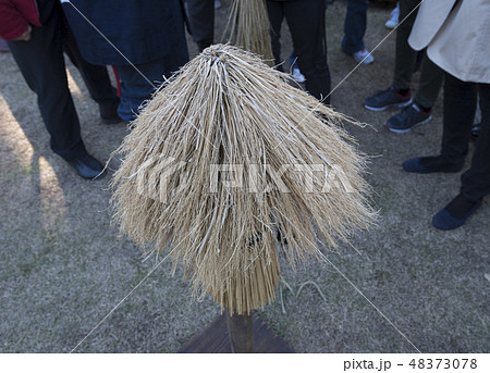 藁ボッチ 藁ぼっち ワラボッチ わらぼっちの写真素材