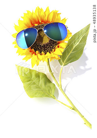 サングラス グラサン 向日葵 サンフラワーの写真素材