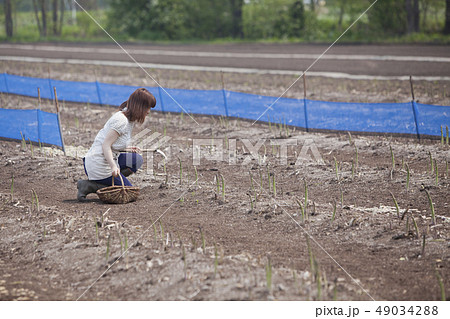 しゃがむ 横向きの写真素材