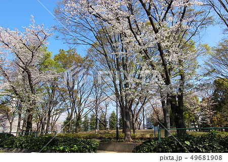 希望ヶ丘公園 世田谷 船橋 千歳船橋の写真素材