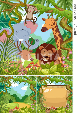 ジャングル 動物のイラスト素材
