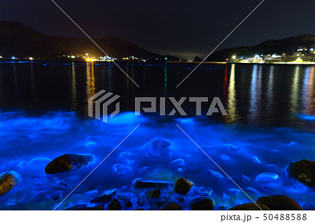 夜光虫 幻想的 海 海岸の写真素材