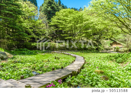 六甲高山植物園（兵庫県） | 【ロケ地 検索】全国ロケーション