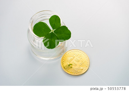 四葉のクローバーの写真素材