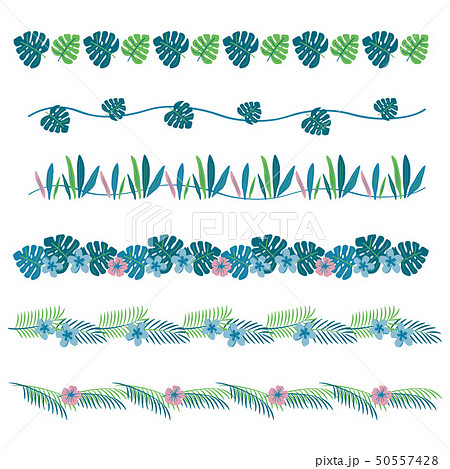夏 夏素材 飾り罫線 罫線のイラスト素材